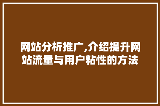 网站分析推广,介绍提升网站流量与用户粘性的方法 市场营销范文