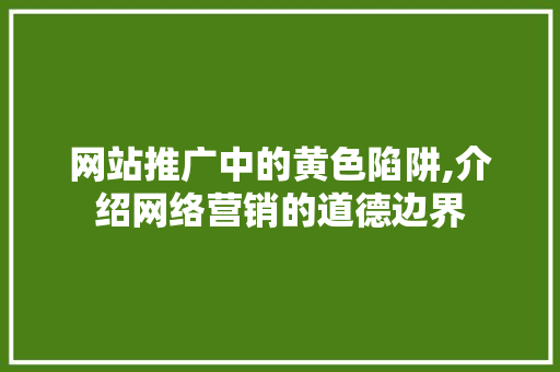 网站推广中的黄色陷阱,介绍网络营销的道德边界 市场营销范文