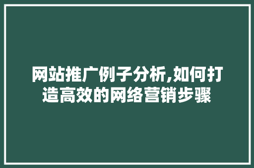 网站推广例子分析,如何打造高效的网络营销步骤