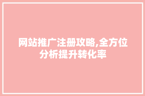 网站推广注册攻略,全方位分析提升转化率