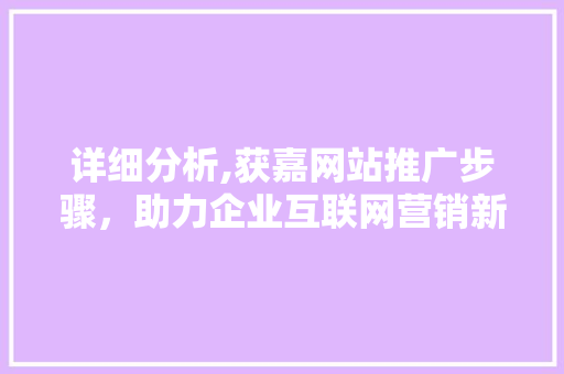 详细分析,获嘉网站推广步骤，助力企业互联网营销新突破 响应式设计