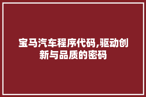宝马汽车程序代码,驱动创新与品质的密码
