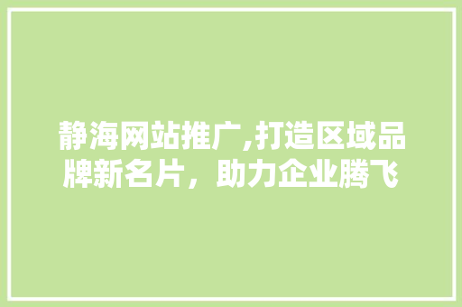 静海网站推广,打造区域品牌新名片，助力企业腾飞