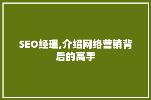 SEO经理,介绍网络营销背后的高手