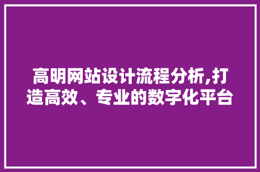 高明网站设计流程分析,打造高效、专业的数字化平台 网站建设