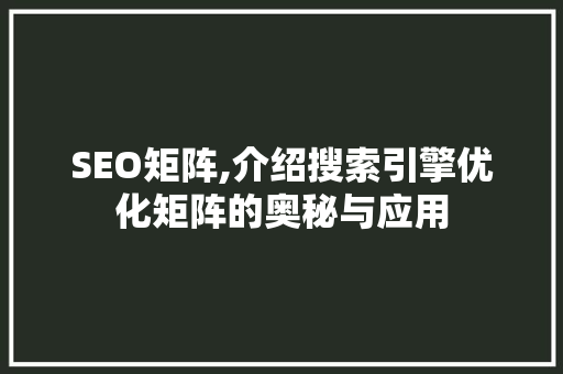 SEO矩阵,介绍搜索引擎优化矩阵的奥秘与应用