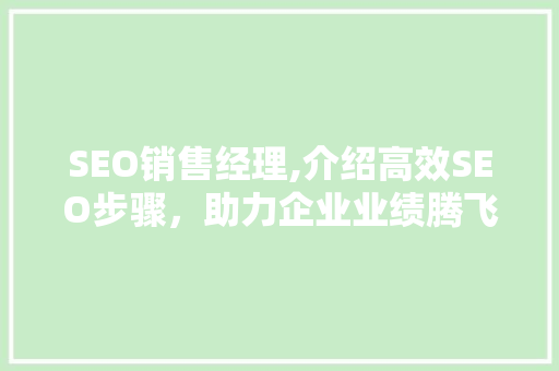 SEO销售经理,介绍高效SEO步骤，助力企业业绩腾飞