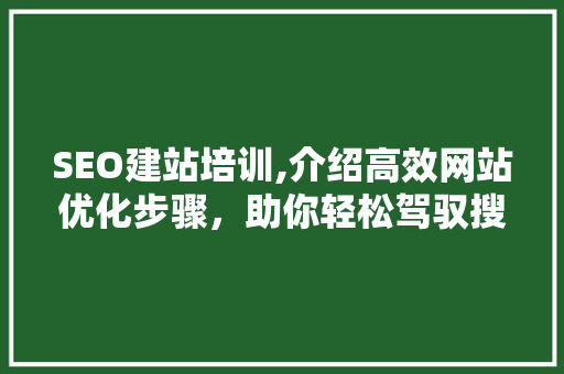 SEO建站培训,介绍高效网站优化步骤，助你轻松驾驭搜索引擎