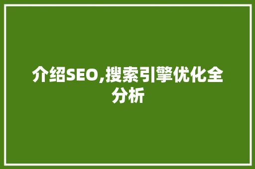 介绍SEO,搜索引擎优化全分析