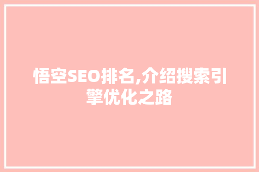 悟空SEO排名,介绍搜索引擎优化之路