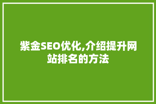 紫金SEO优化,介绍提升网站排名的方法