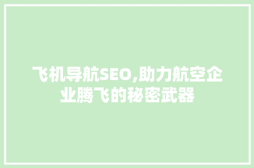 飞机导航SEO,助力航空企业腾飞的秘密武器