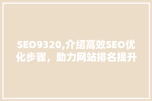 SEO9320,介绍高效SEO优化步骤，助力网站排名提升