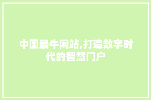中国最牛网站,打造数字时代的智慧门户 MySQL