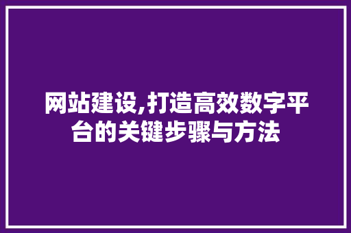 网站建设,打造高效数字平台的关键步骤与方法 前端技术