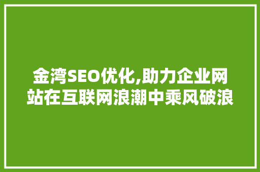 金湾SEO优化,助力企业网站在互联网浪潮中乘风破浪 后端技术