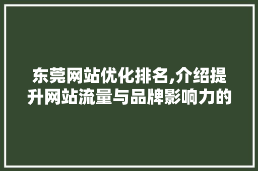 东莞网站优化排名,介绍提升网站流量与品牌影响力的方法 响应式设计