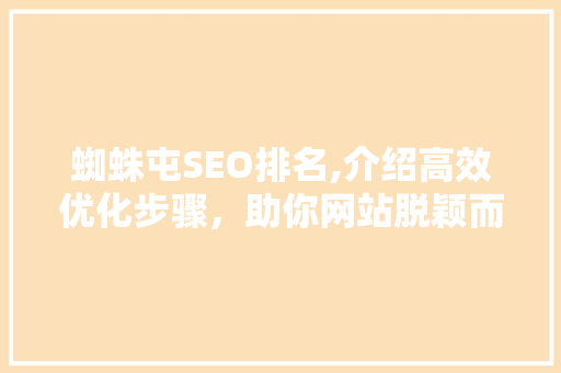 蜘蛛屯SEO排名,介绍高效优化步骤，助你网站脱颖而出