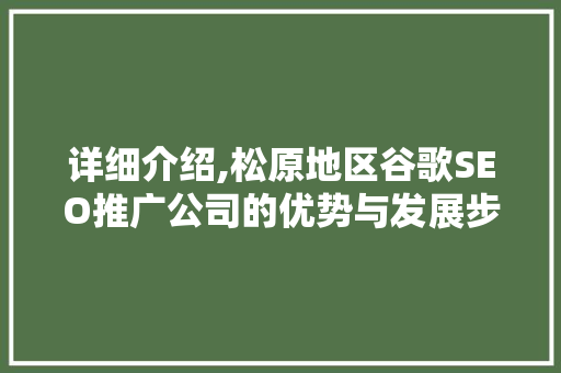 详细介绍,松原地区谷歌SEO推广公司的优势与发展步骤