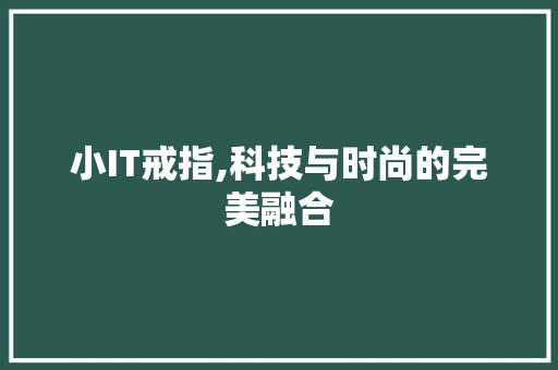 小IT戒指,科技与时尚的完美融合