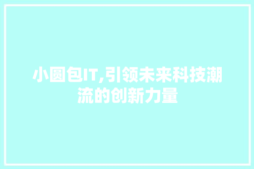 小圆包IT,引领未来科技潮流的创新力量