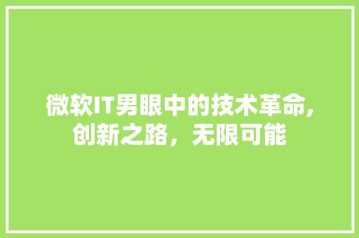 微软IT男眼中的技术革命,创新之路，无限可能