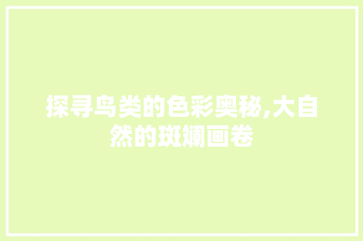 探寻鸟类的色彩奥秘,大自然的斑斓画卷