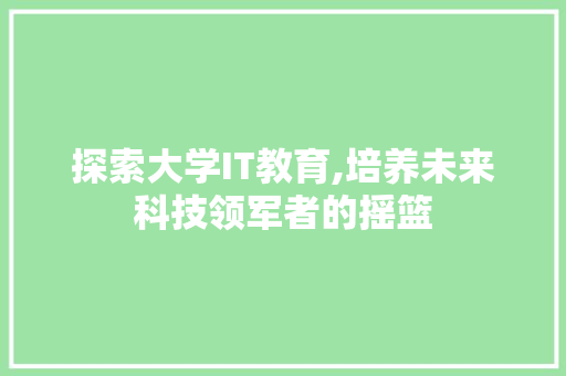 探索大学IT教育,培养未来科技领军者的摇篮 网站建设