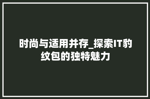 时尚与适用并存_探索IT豹纹包的独特魅力