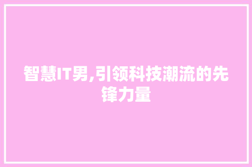 智慧IT男,引领科技潮流的先锋力量 项目报告