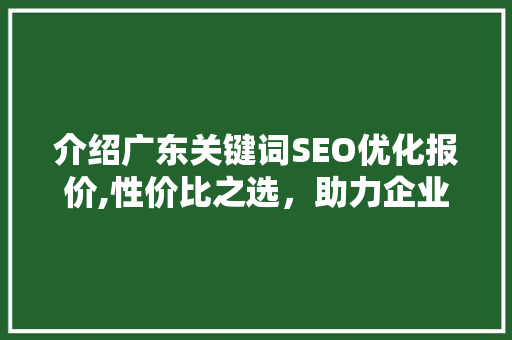 介绍广东关键词SEO优化报价,性价比之选，助力企业腾飞