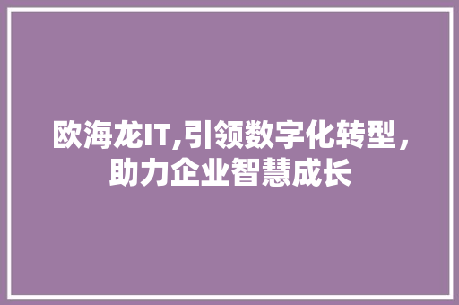 欧海龙IT,引领数字化转型，助力企业智慧成长