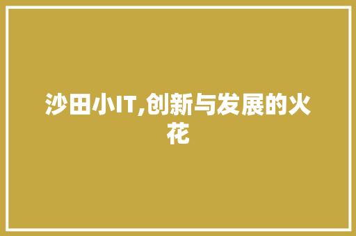 沙田小IT,创新与发展的火花