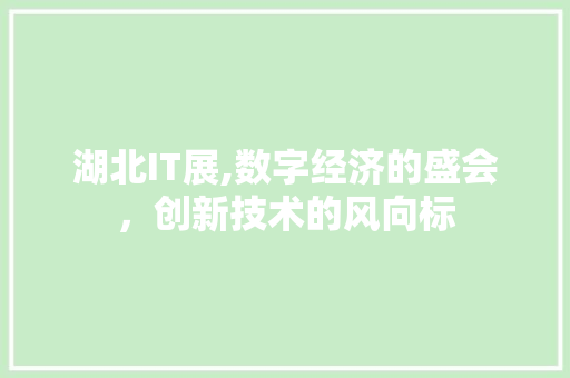 湖北IT展,数字经济的盛会，创新技术的风向标