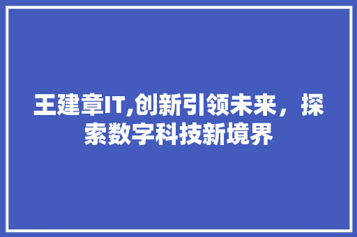 王建章IT,创新引领未来，探索数字科技新境界 市场营销范文
