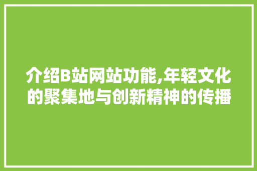 介绍B站网站功能,年轻文化的聚集地与创新精神的传播者 前端技术
