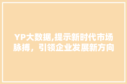 YP大数据,提示新时代市场脉搏，引领企业发展新方向