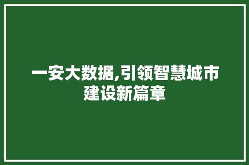 一安大数据,引领智慧城市建设新篇章