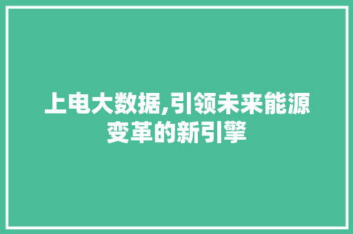 上电大数据,引领未来能源变革的新引擎