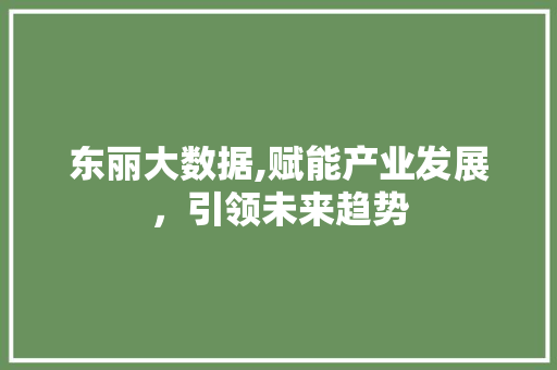 东丽大数据,赋能产业发展，引领未来趋势
