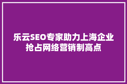 乐云SEO专家助力上海企业抢占网络营销制高点