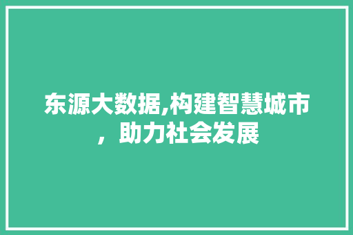 东源大数据,构建智慧城市，助力社会发展 前端技术