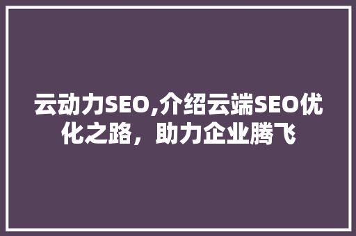 云动力SEO,介绍云端SEO优化之路，助力企业腾飞