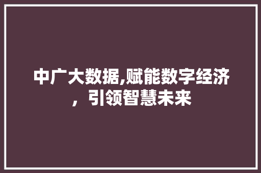 中广大数据,赋能数字经济，引领智慧未来 前端技术