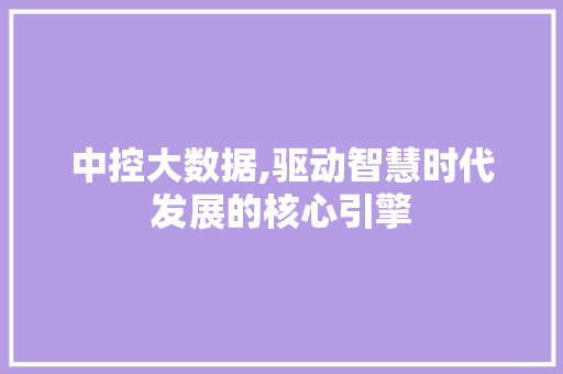 中控大数据,驱动智慧时代发展的核心引擎