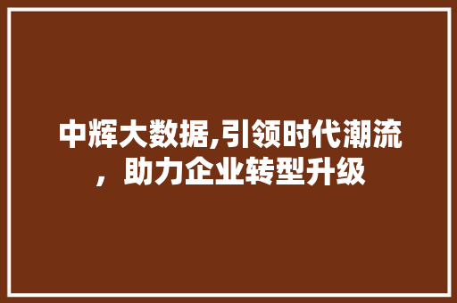 中辉大数据,引领时代潮流，助力企业转型升级 后端技术