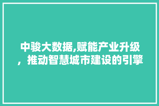 中骏大数据,赋能产业升级，推动智慧城市建设的引擎 市场营销范文