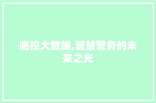 临控大数据,智慧警务的未来之光