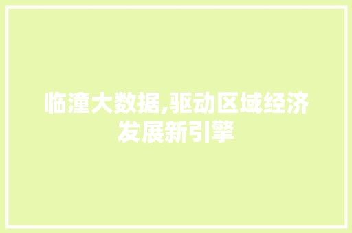 临潼大数据,驱动区域经济发展新引擎