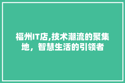 福州IT店,技术潮流的聚集地，智慧生活的引领者